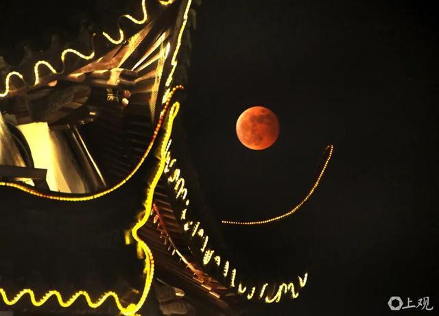 上海高温返场，至少要热到这天！网友叹息：没完没了；明晚抬头看，持续83分钟，错过等一年