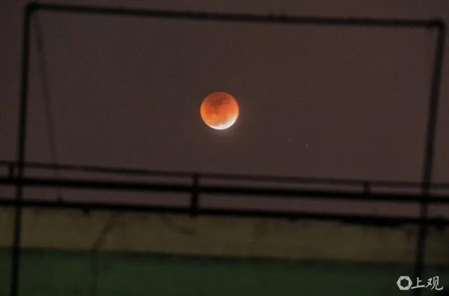 上海高温返场，至少要热到这天！网友叹息：没完没了；明晚抬头看，持续83分钟，错过等一年