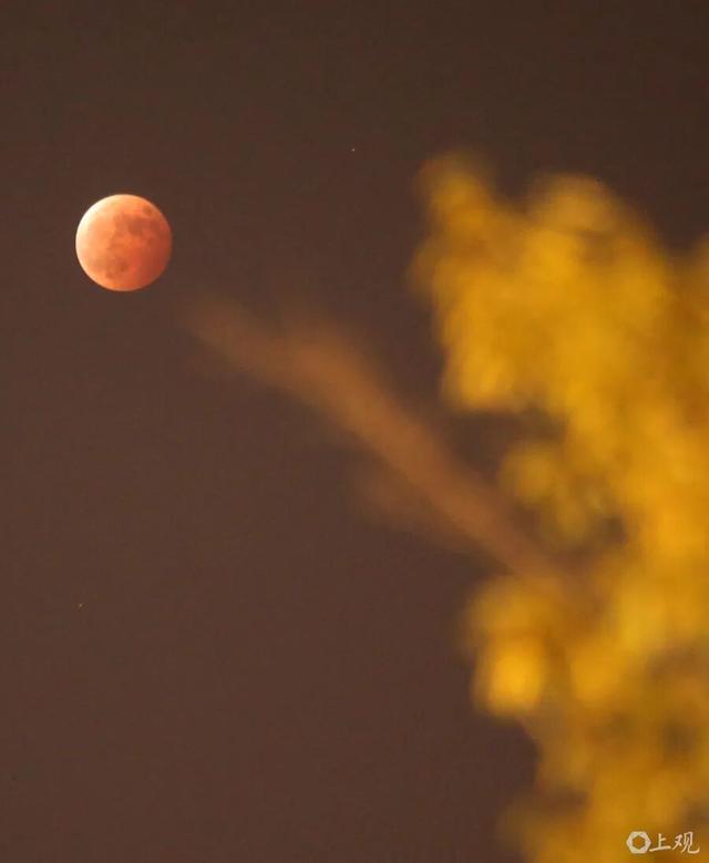 上海高温返场，至少要热到这天！网友叹息：没完没了；明晚抬头看，持续83分钟，错过等一年